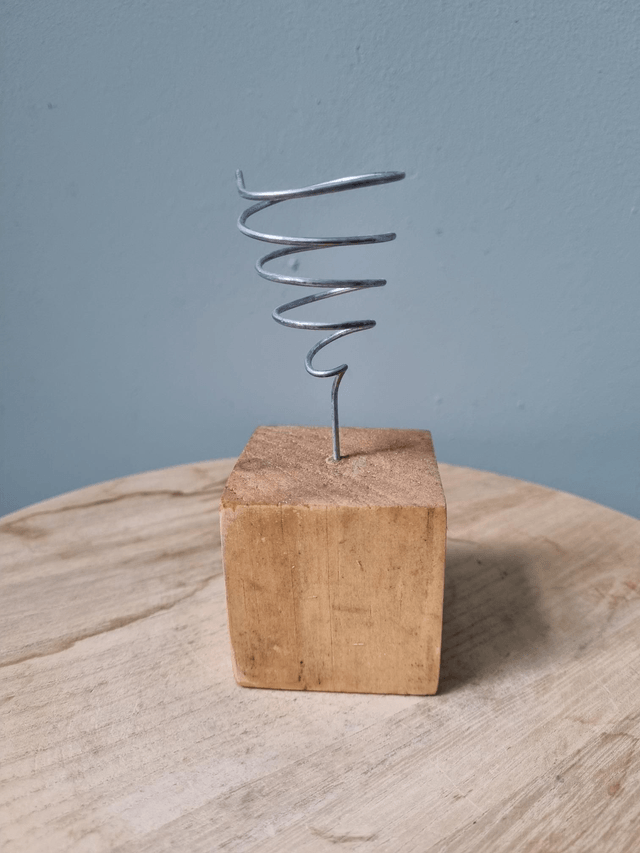 Support en bois pour Tillandsia