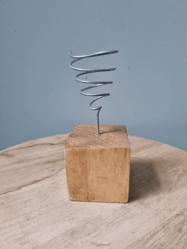 Support en bois pour Tillandsia